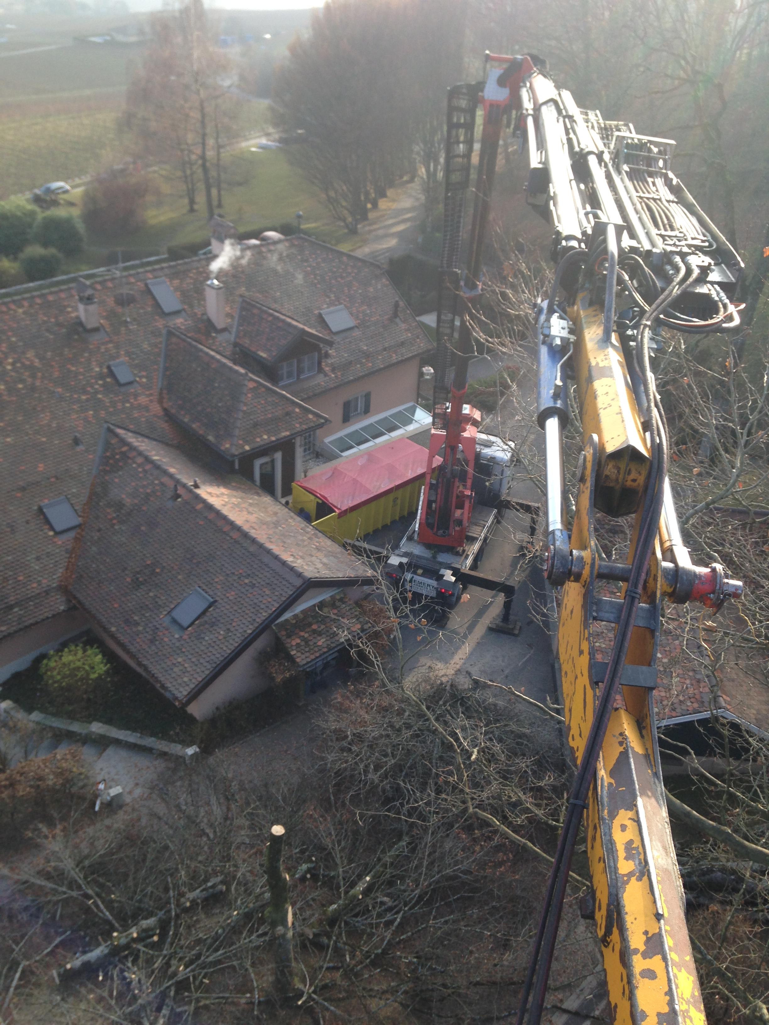 Démontage d'arbre à la nacelle dans le Jura — SAS POLYVIER